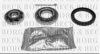 BORG & BECK BWK066 Wheel Bearing Kit